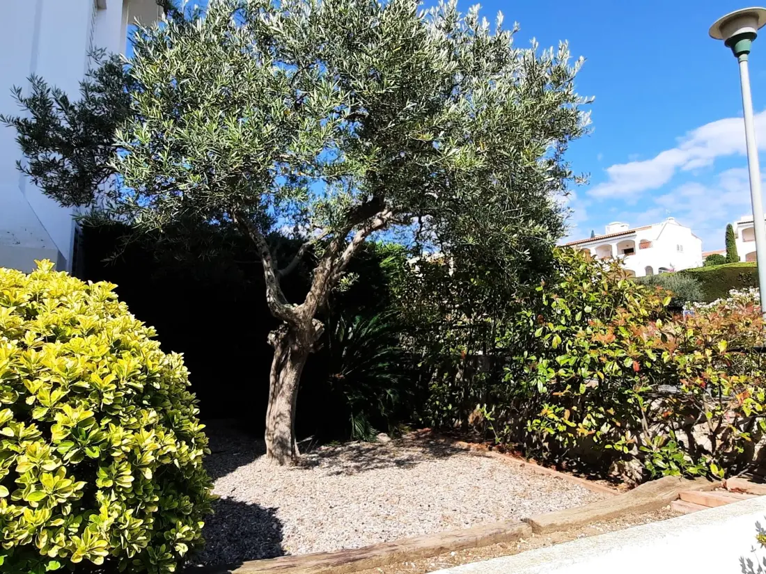 Location de Vacances Llançà 46