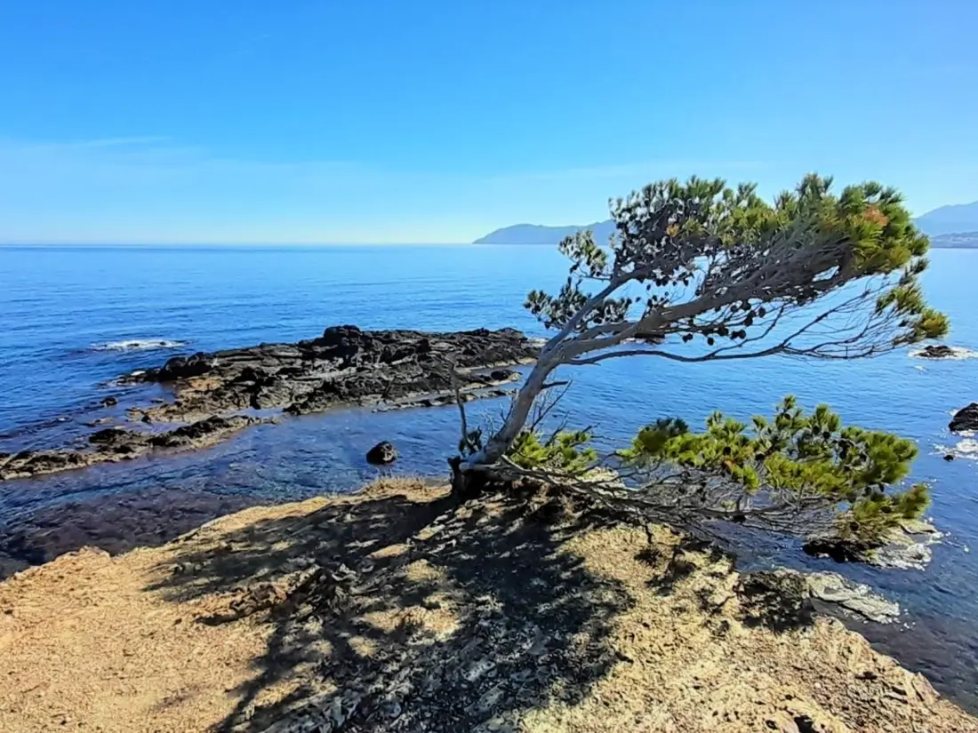 Location de Vacances Llançà 71