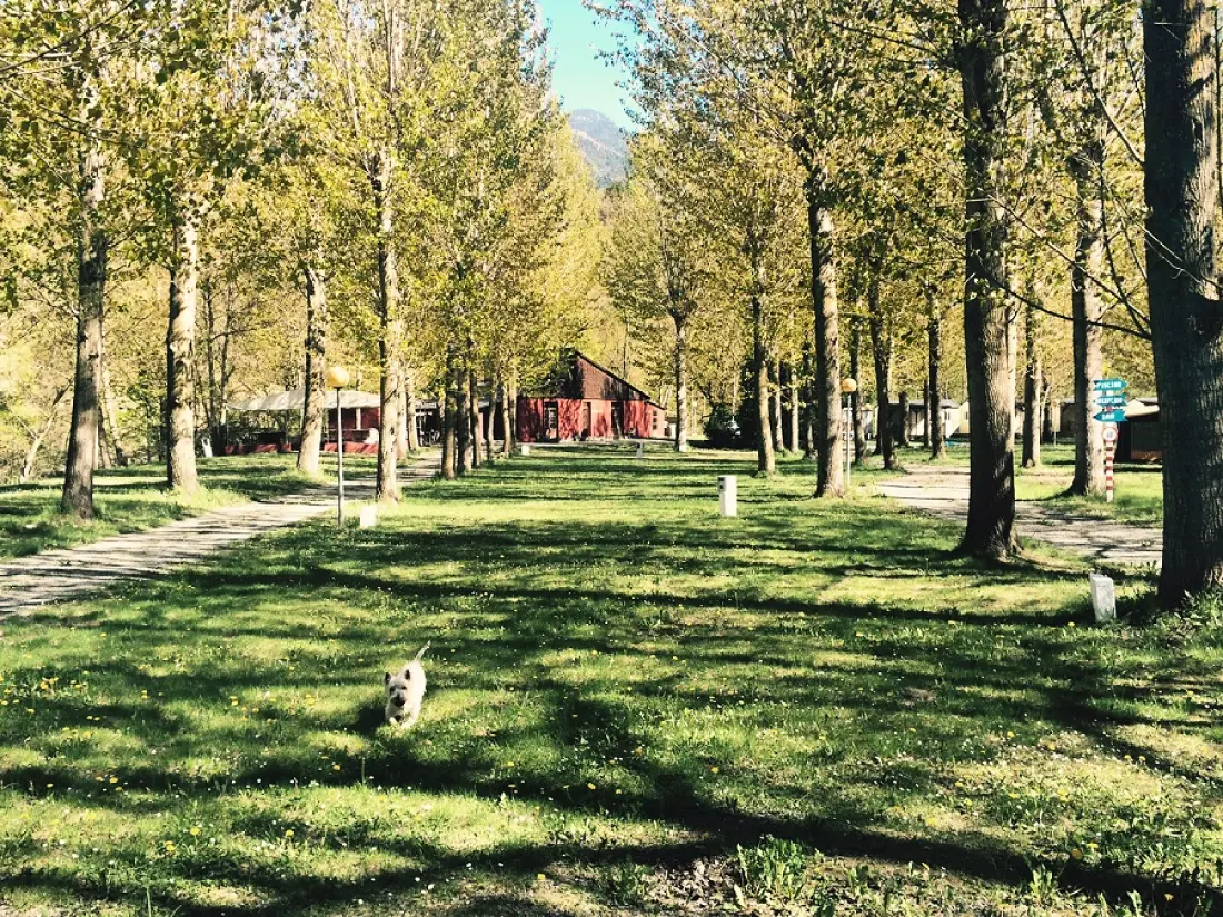 Camping Aigües Braves