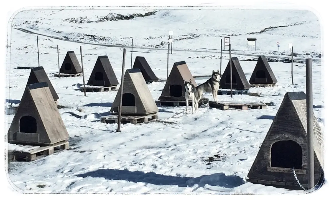 Camping Aigües Braves