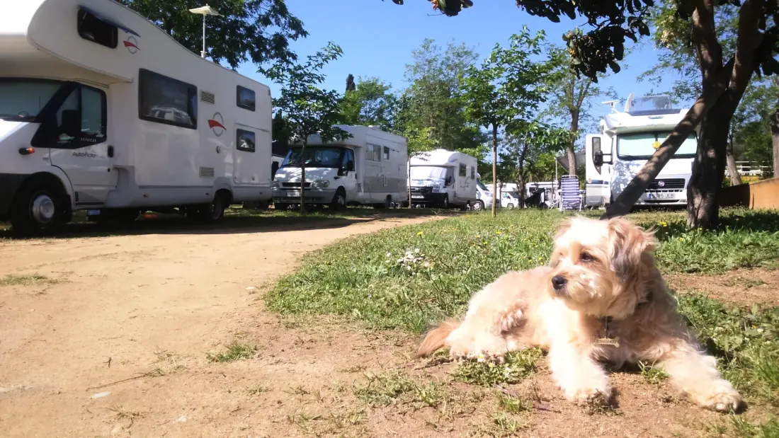 Camping Lloret Blau 3 étoiles★★★