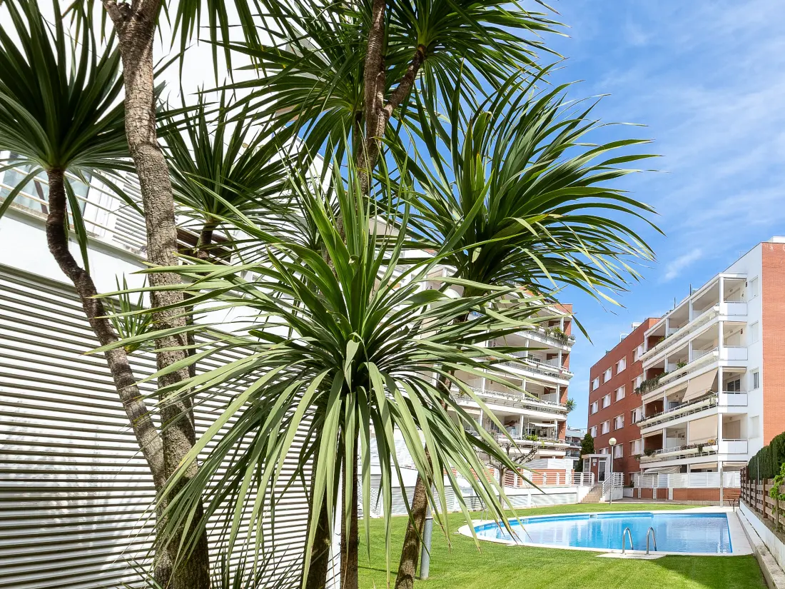 Location de Vacances Lloret de Mar 196