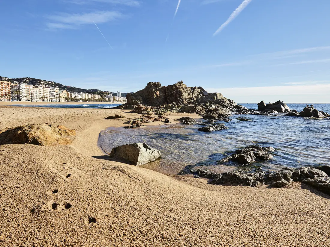 Location de Vacances Lloret de Mar 242