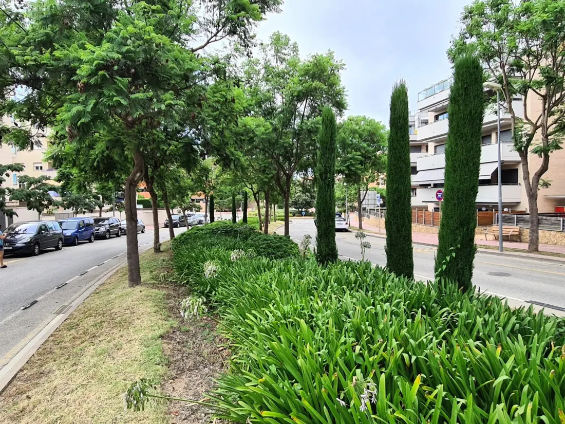 Location de Vacances Lloret de Mar 75