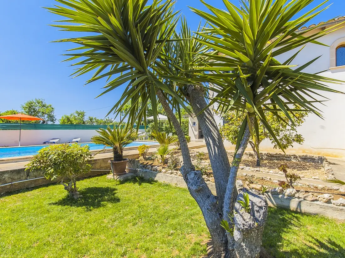 Maison de Vacances Lloseta 25