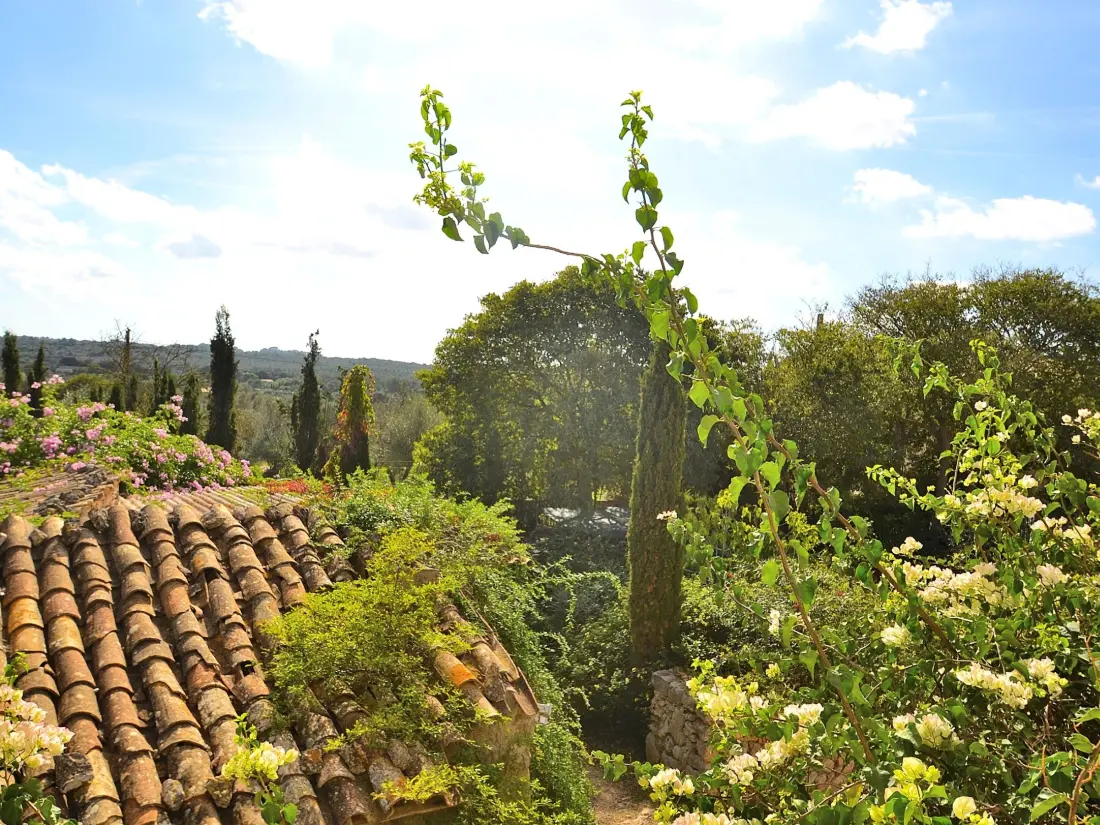 Maison de Vacances Llubí 35