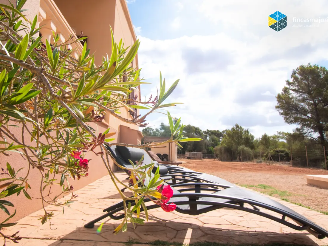 Maison de Vacances Llucmajor 56