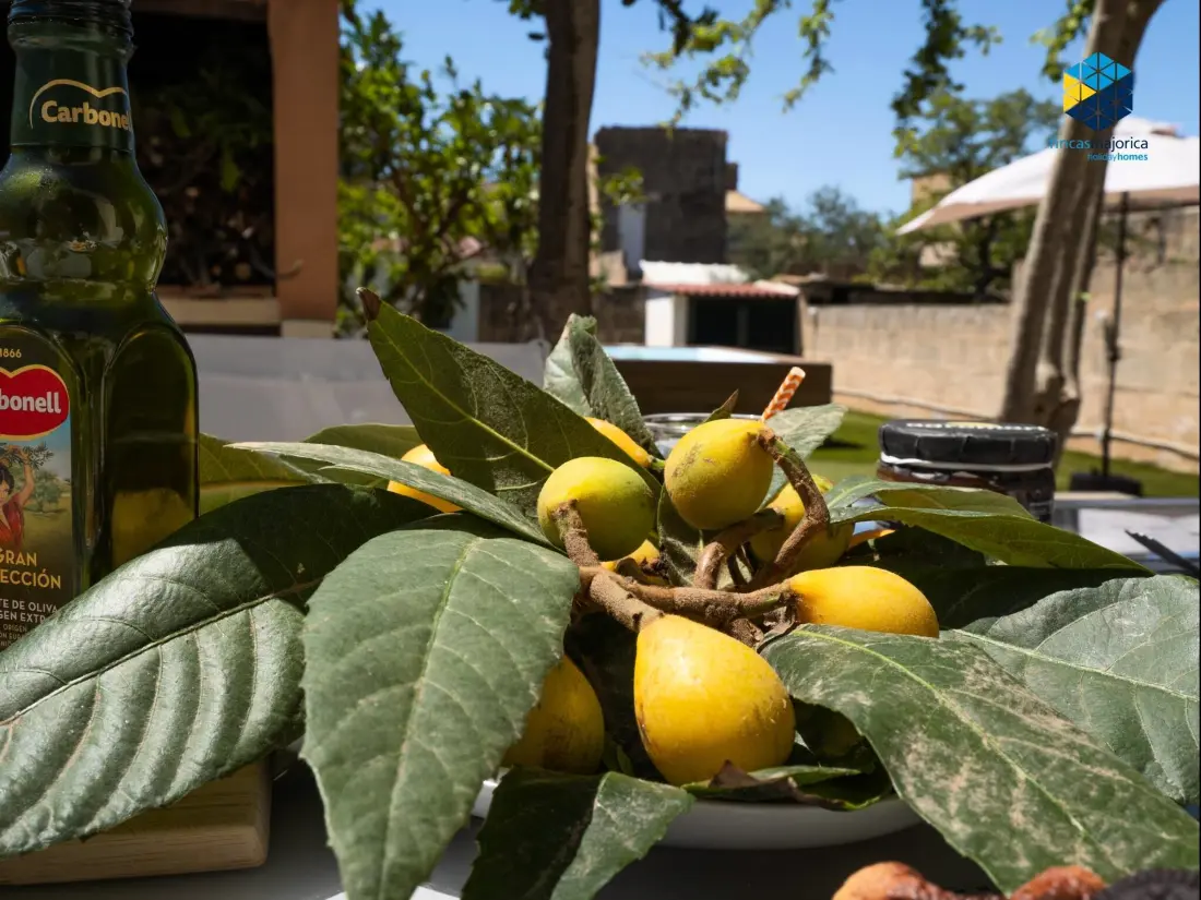 Maison de Vacances Llucmajor 62