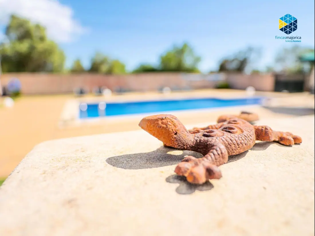 Maison de Vacances Llucmajor 69