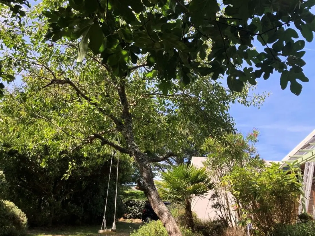 Maison de Vacances Locmaria 47