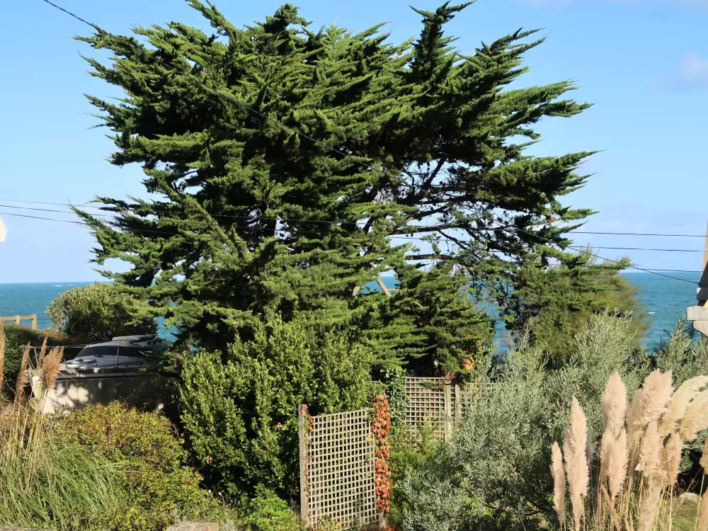 Maison de Vacances Locquirec