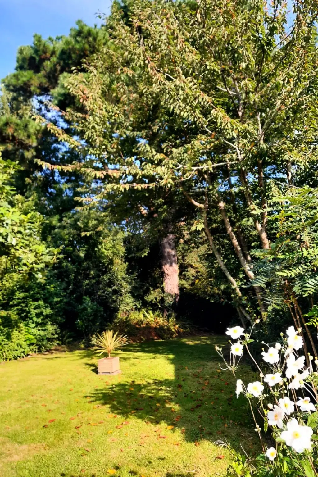 Maison de Vacances Plougastel-Daoulas
