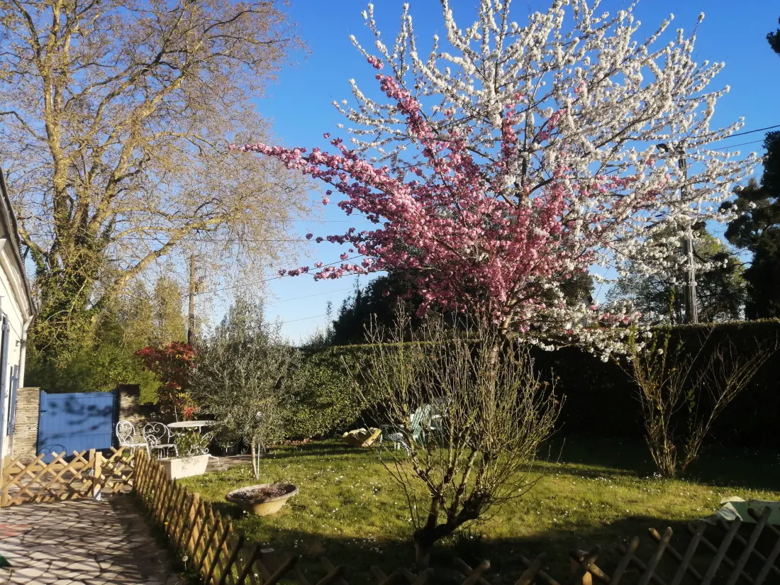 Maison de Vacances Loire-Authion 3