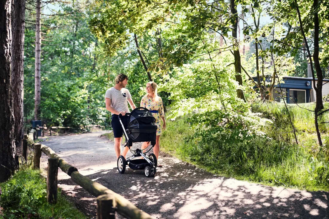 Domaine de Vossemeren Center Parcs