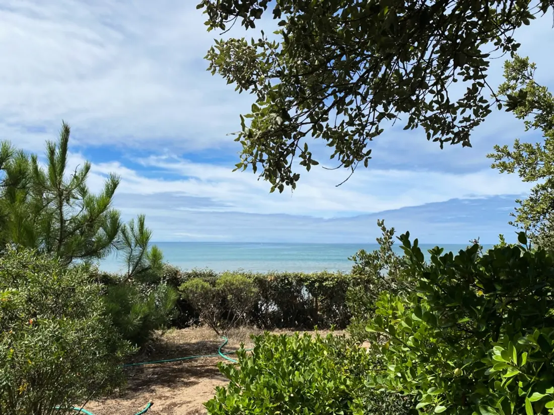 Maison de Vacances Longeville-sur-Mer 99