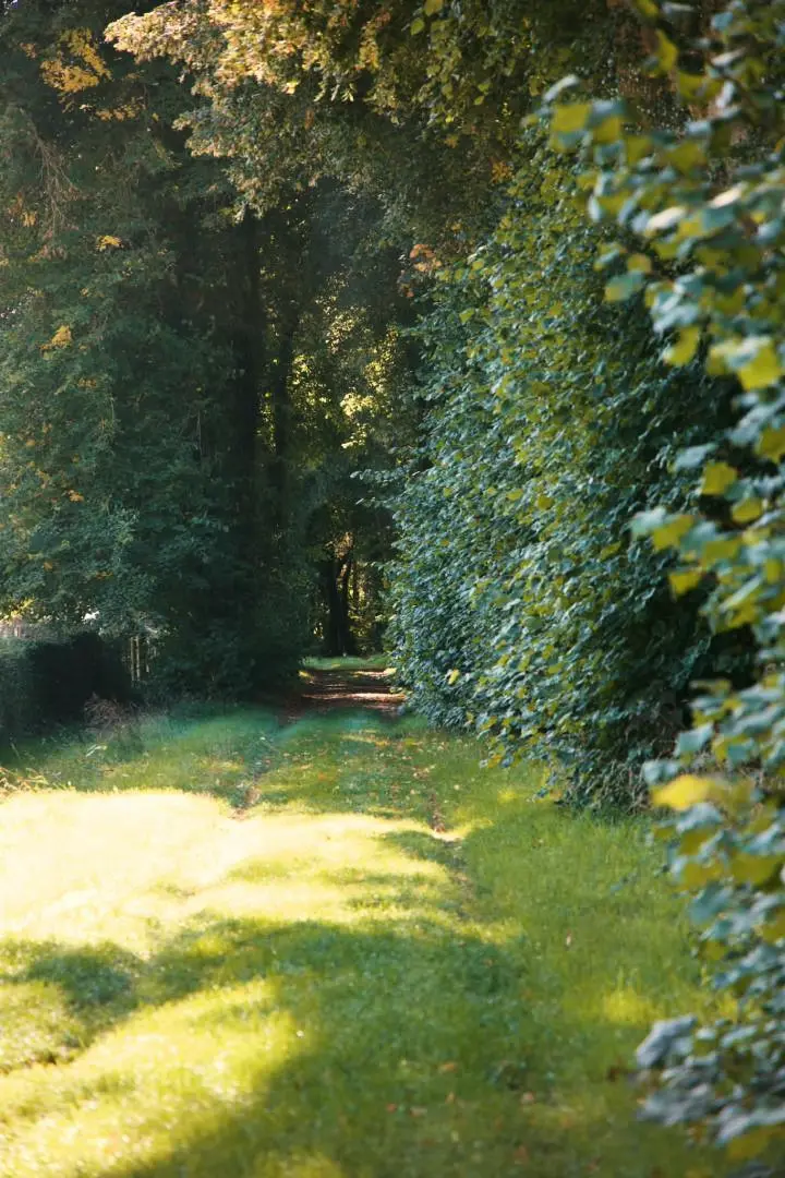 Gîte de France Gîtes de france® - le colibri 2 épis