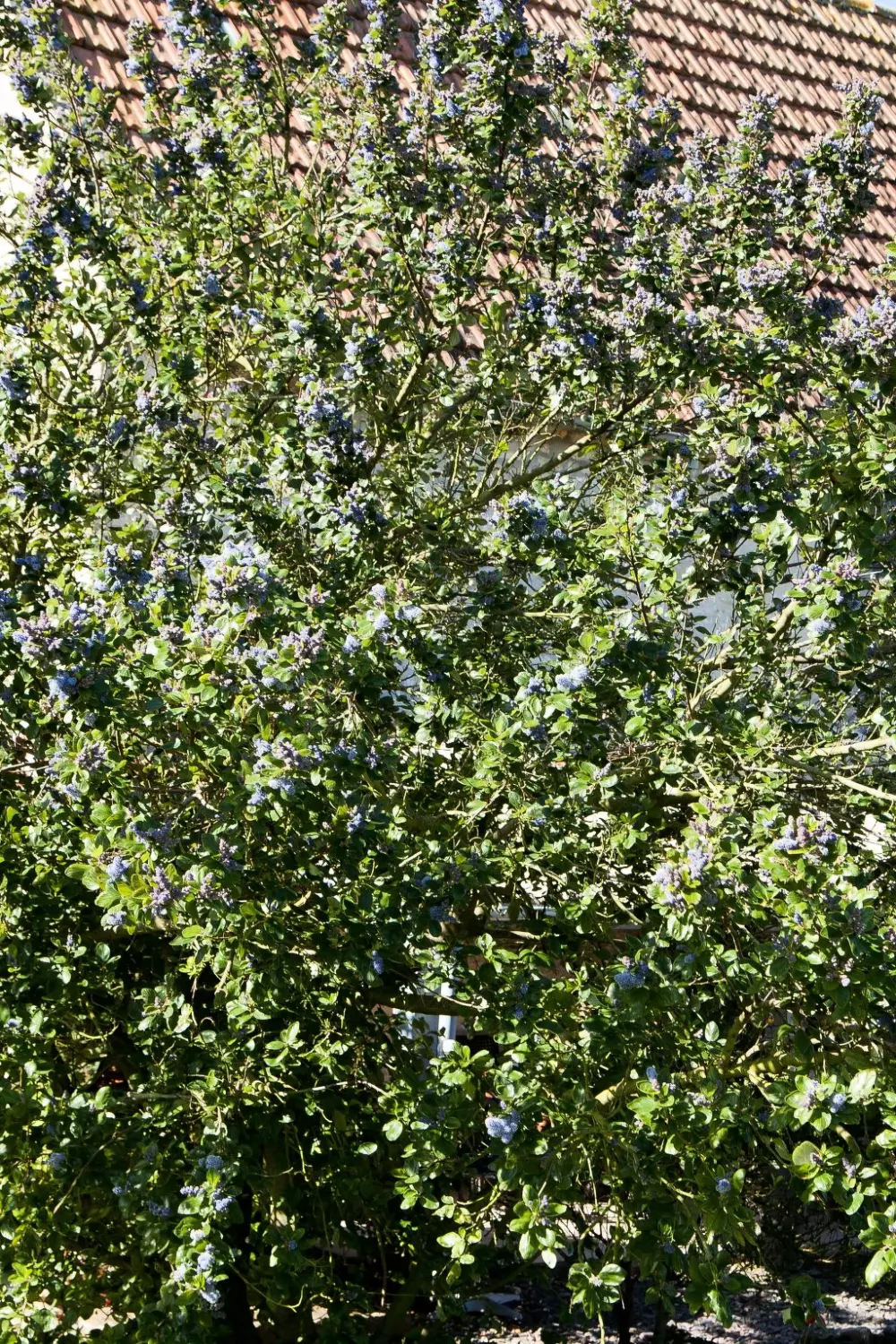 Maison de Vacances Longues-sur-Mer