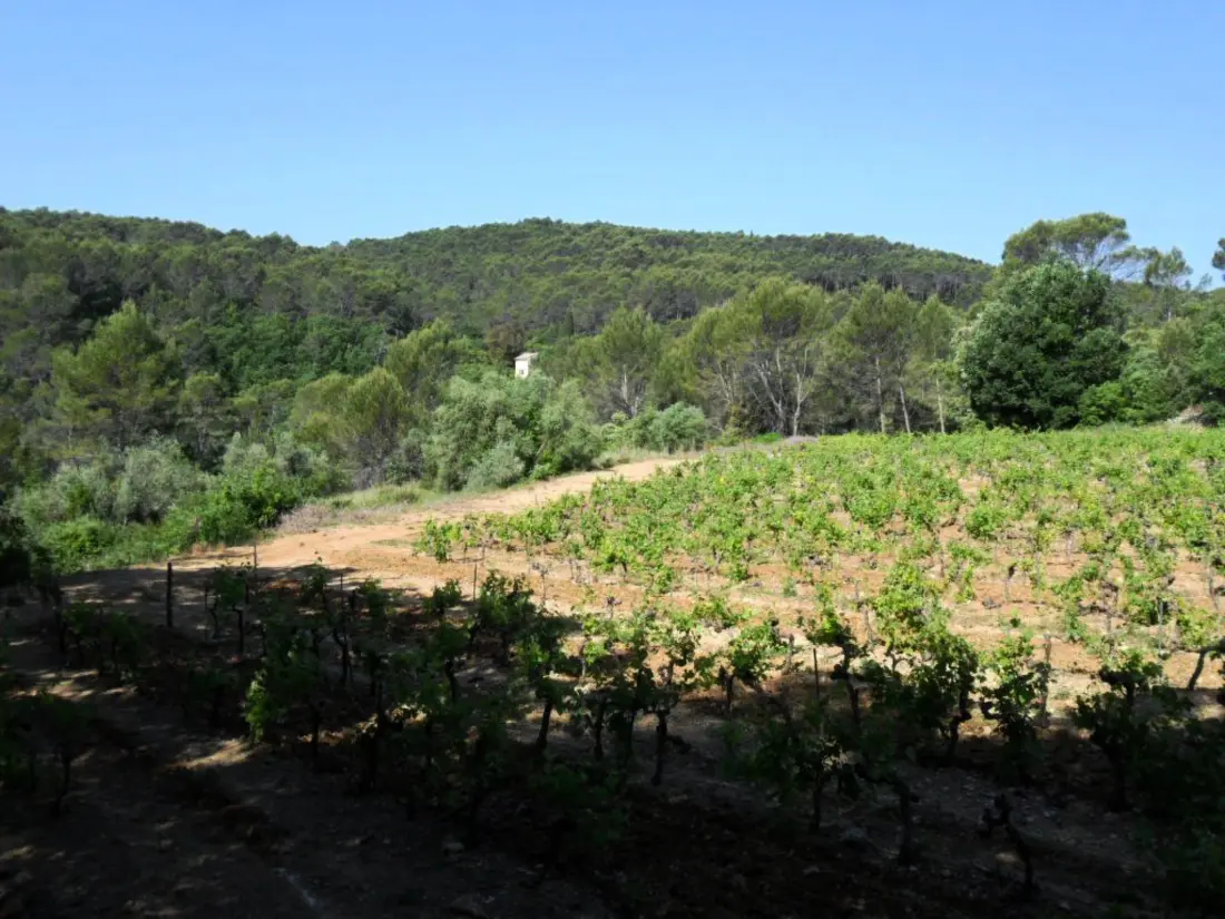 Maison de Vacances Lorgues