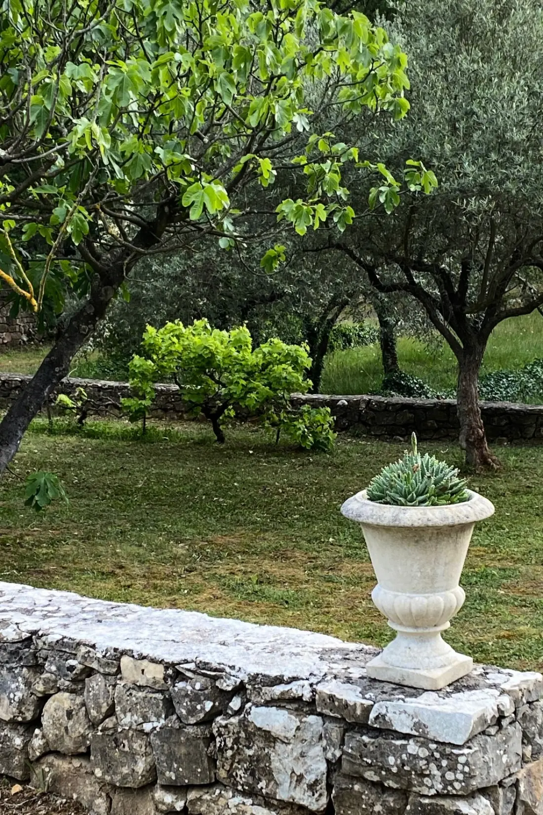 Maison de Vacances Lorgues