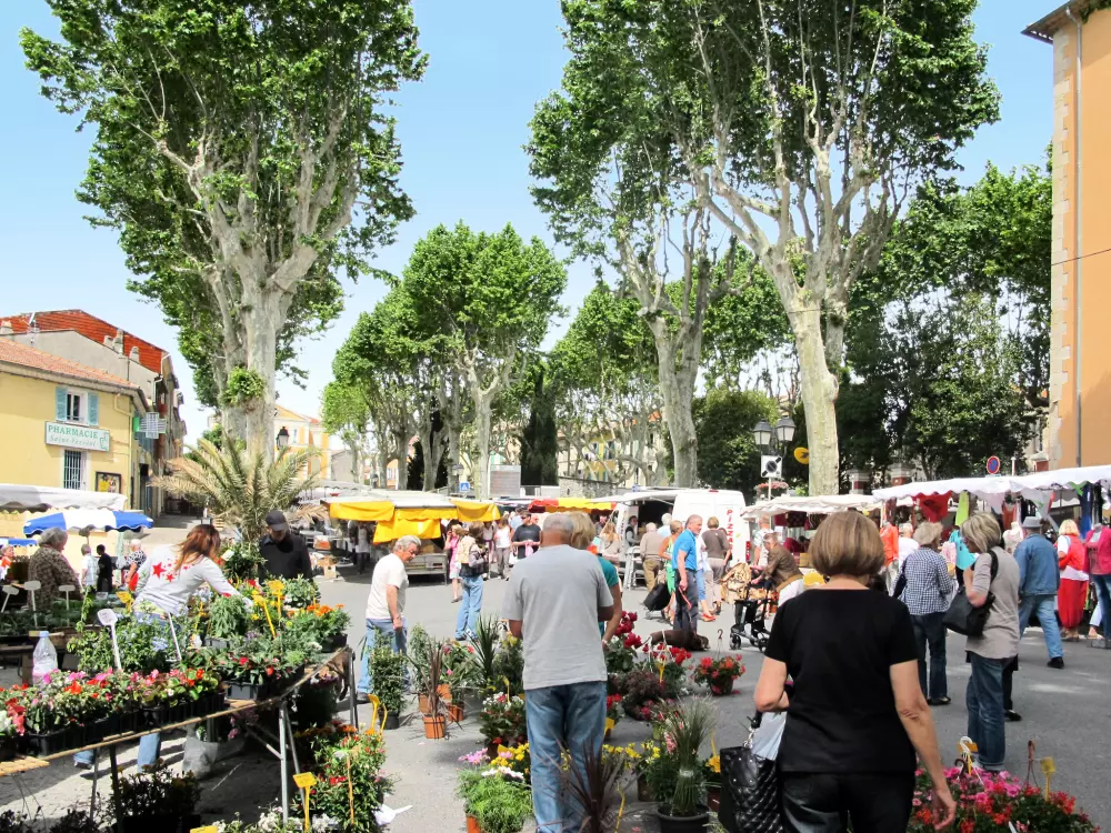 Maison de Vacances Lorgues
