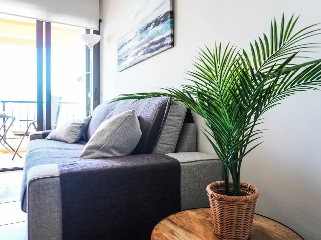 Location de Vacances Los Cristianos 31