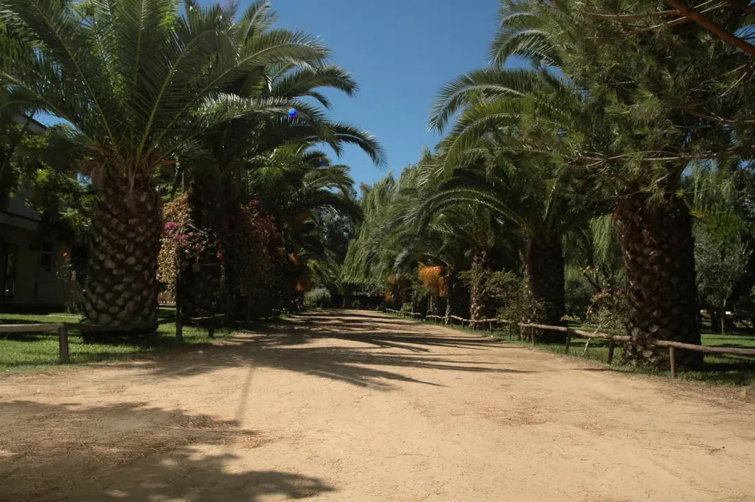 Camping Iscrixedda 3 étoiles★★★