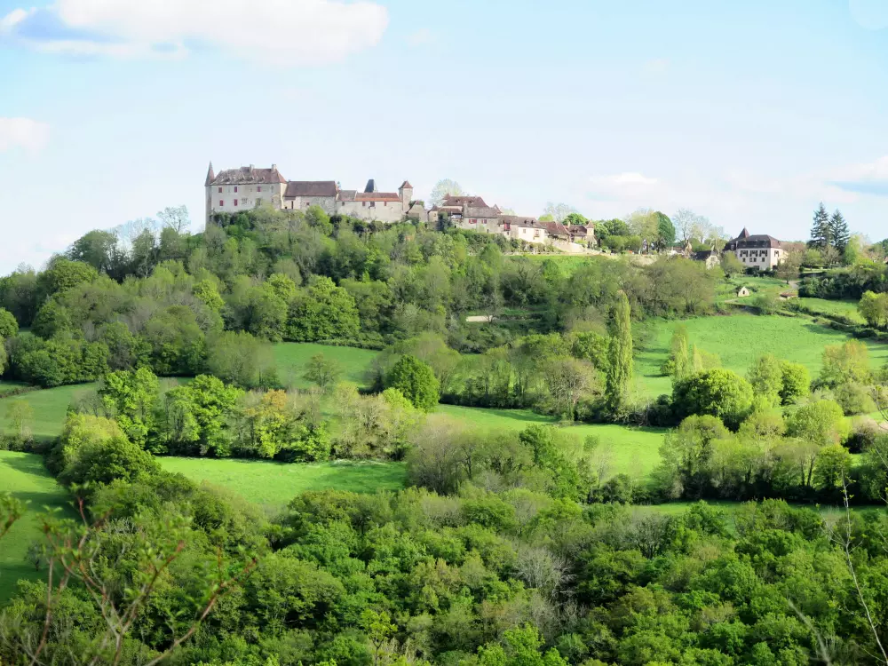 Maison de Vacances Loubressac