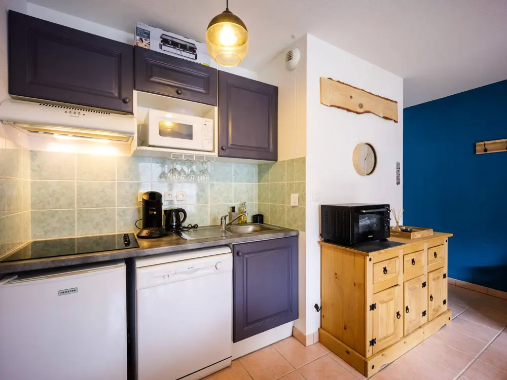 Location de Vacances Loudenvielle 9