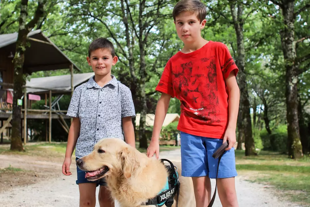 Camping Les Hirondelles 41 étoiles★