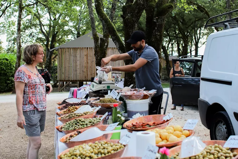 Camping Les Hirondelles 41 étoiles★