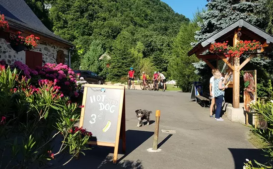 Camping La Forêt ****