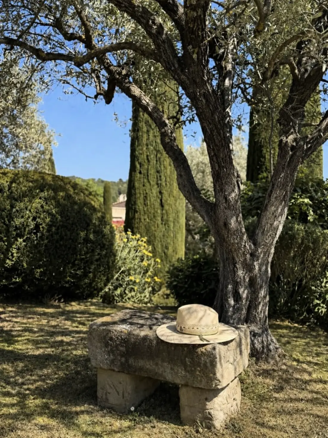 La Pergola Lourmarin 4 Chambres 4 Salles De Bain, Piscine