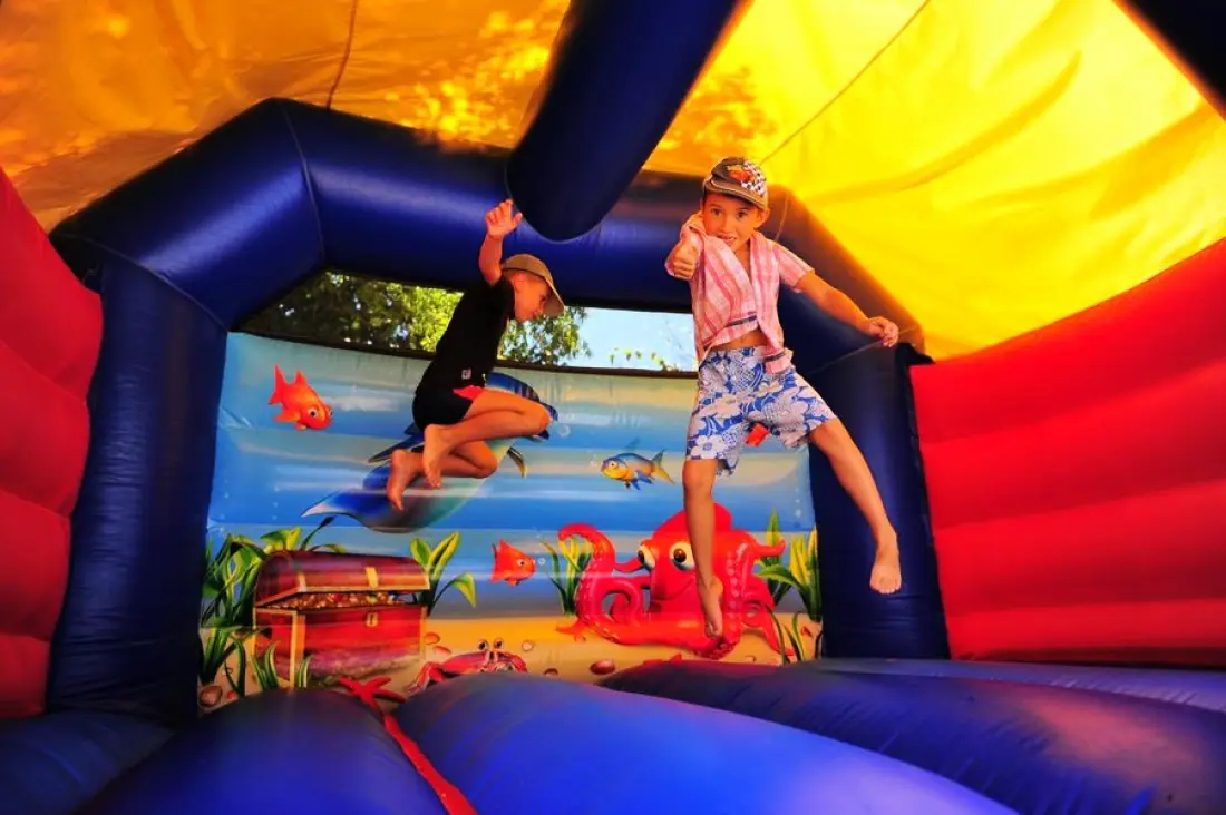 Camping Domaine des Guifettes 3 étoiles★★★