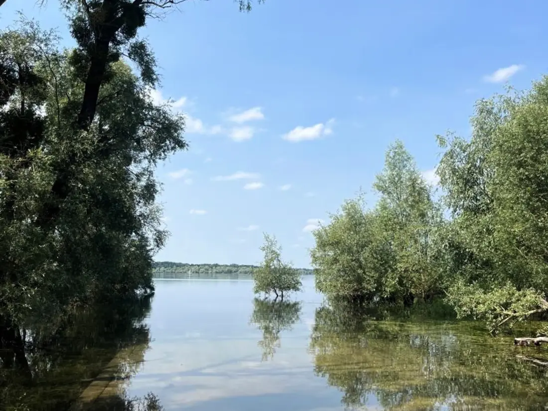 Maison de Vacances Lusigny-sur-Barse 8