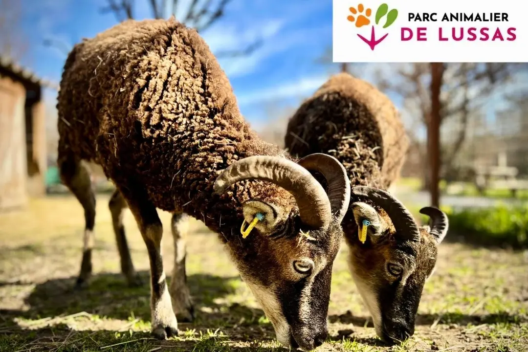 Camping maeva Escapades Ludo Parc 3 étoiles★★★