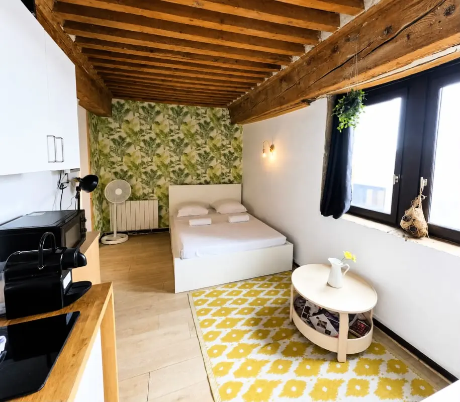 Charmant Studio 21m² - Opéra &amp; Terreaux Lyon