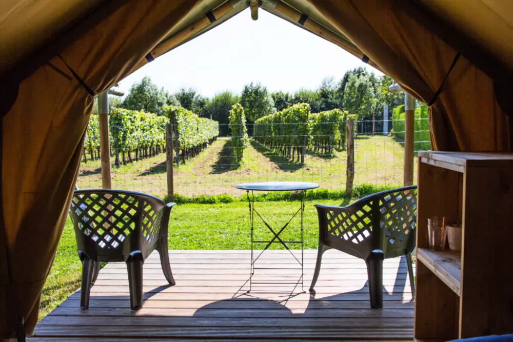 Camping de Boomgaard