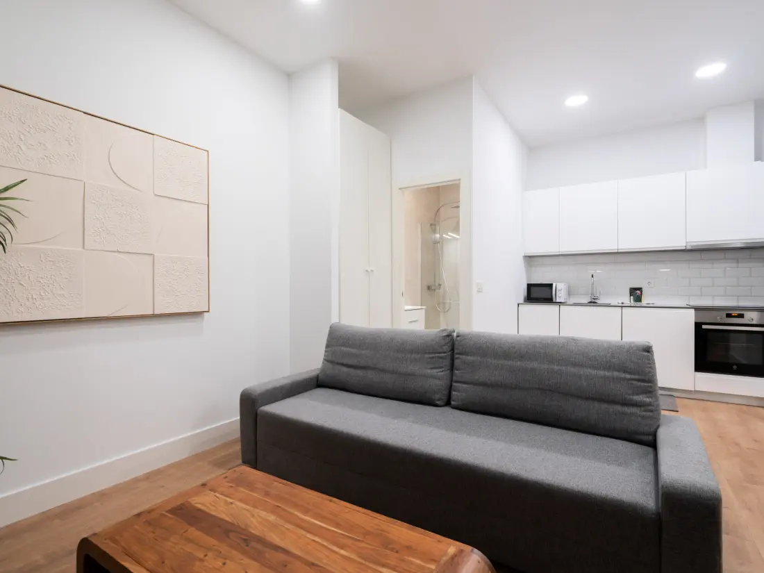 Location de Vacances Madrid 104