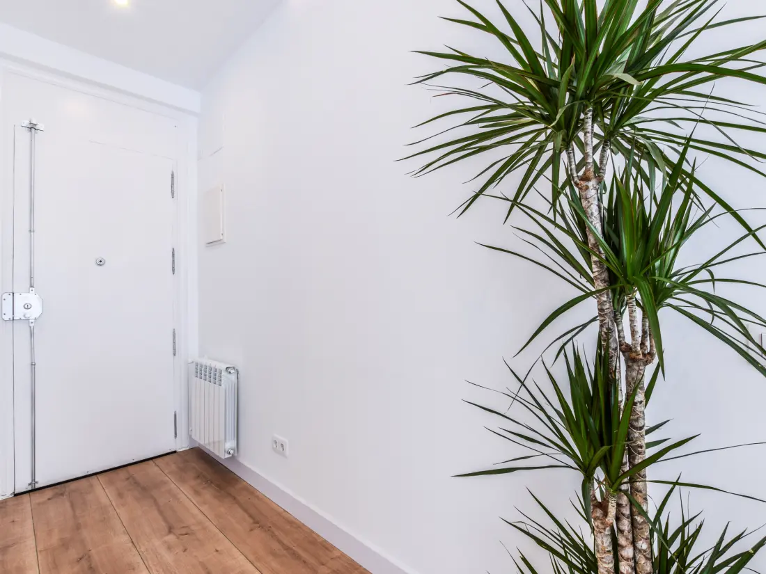Location de Vacances Madrid 122