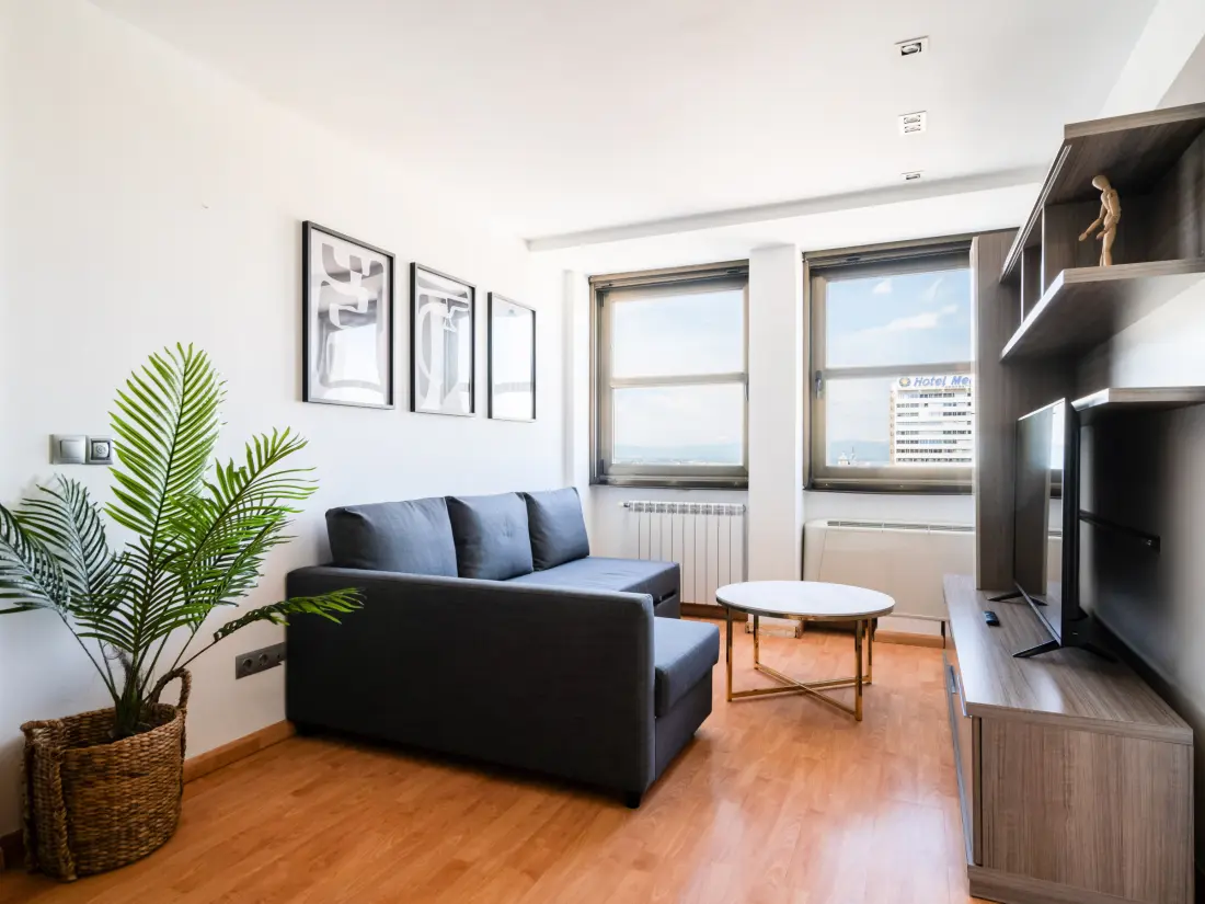 Location de Vacances Madrid 136