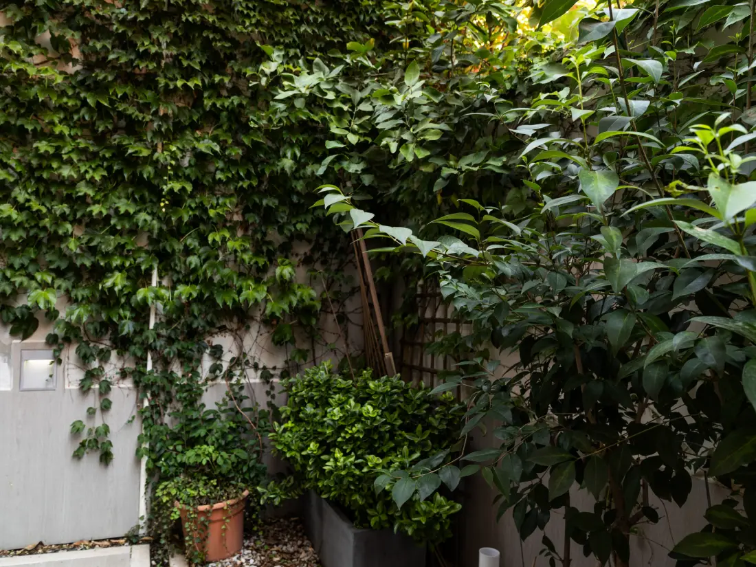 Location de Vacances Madrid 94