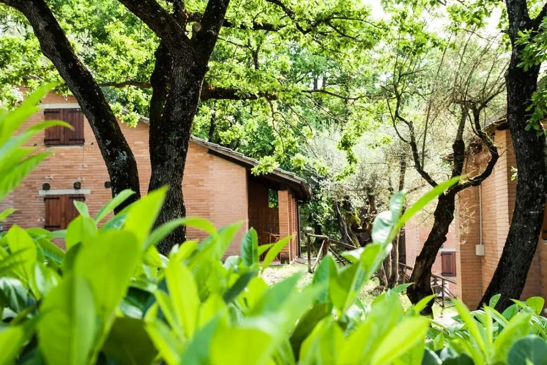Camping Village Cerquestra 3 étoiles★★★