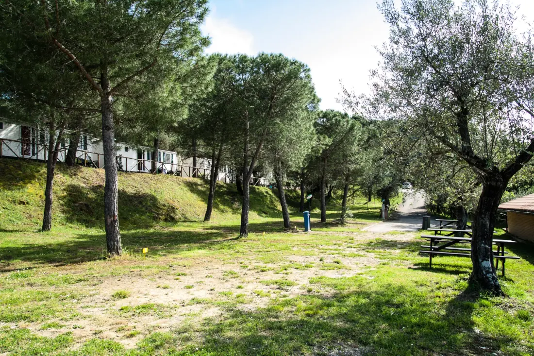 Camping Village Cerquestra 3 étoiles★★★