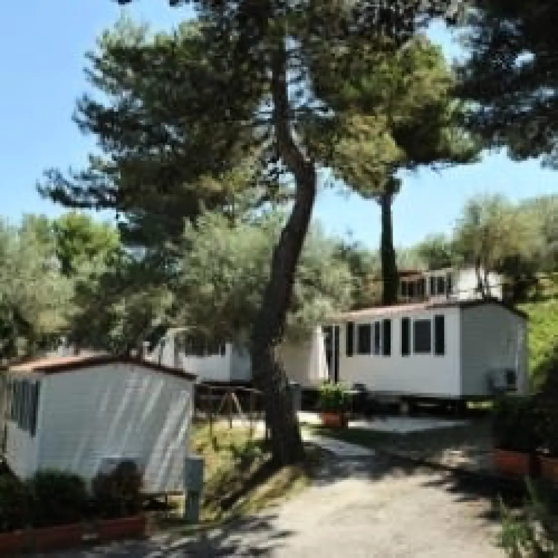 Camping Village Cerquestra 3 étoiles★★★