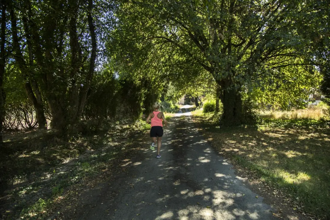 Gîte de France La thibarderie 3 épis