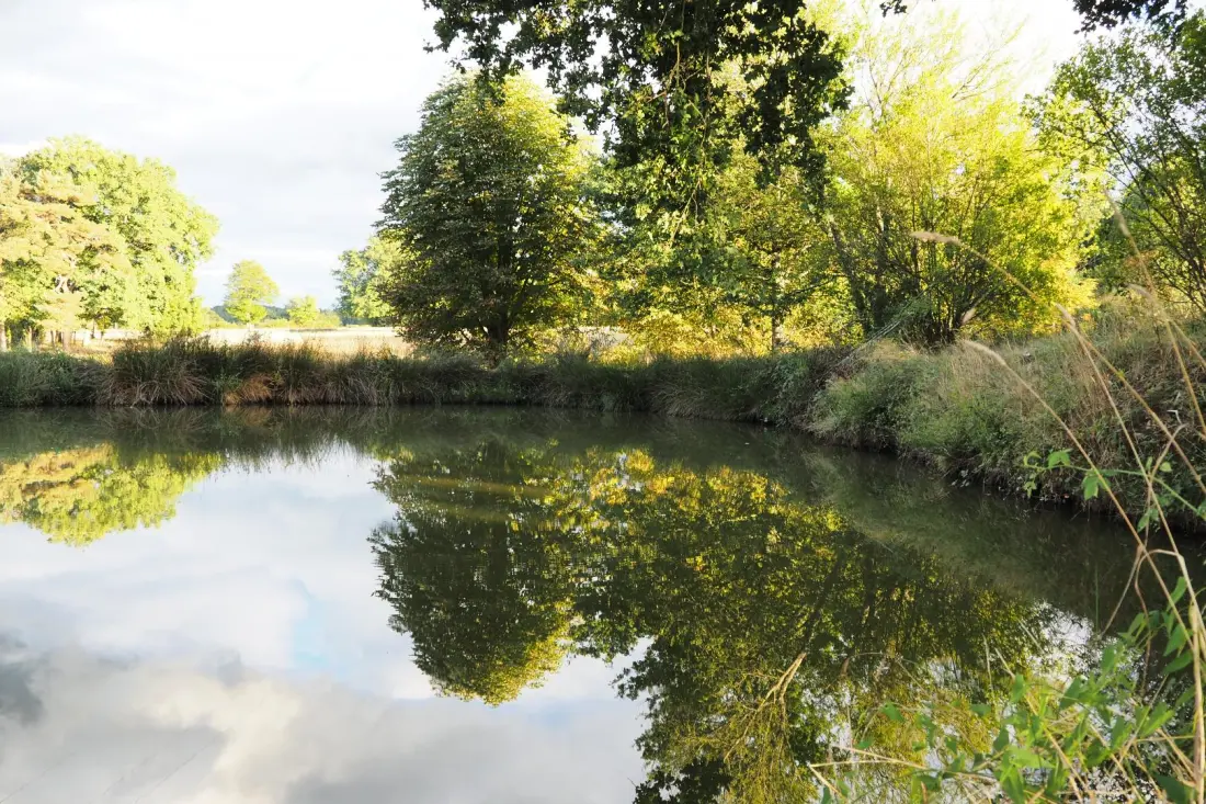Gîte de France Montbrugnaud: "les trois chênes" 3 épis