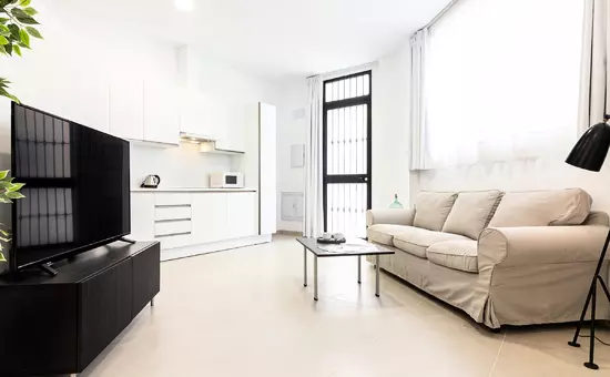 Location de Vacances MALAGA 102