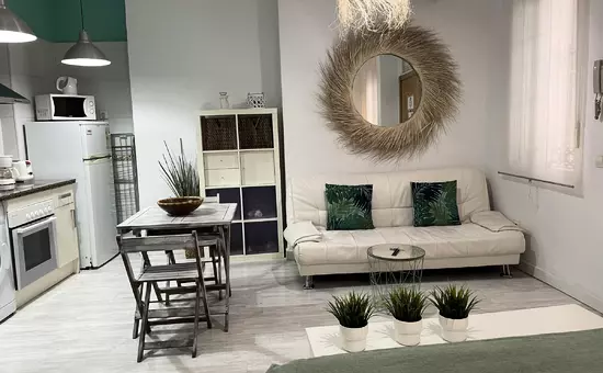 Location de Vacances MALAGA 110