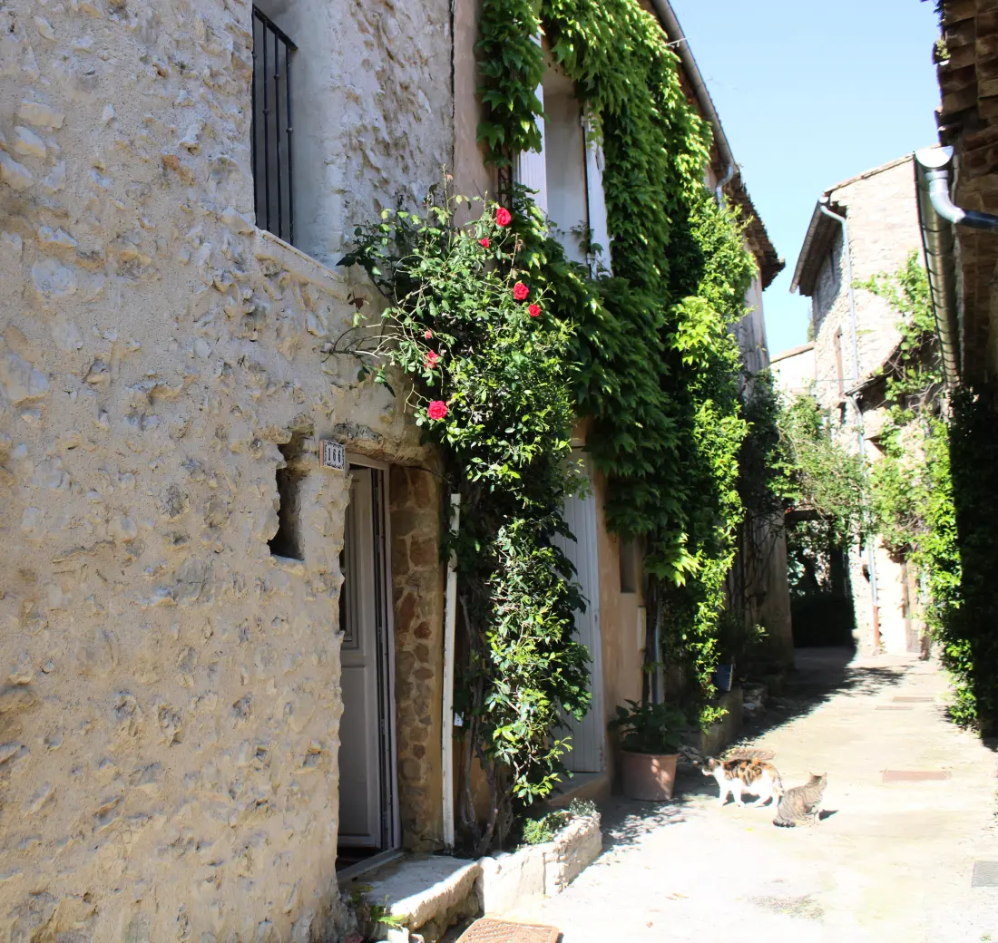 Maison à Malaucène