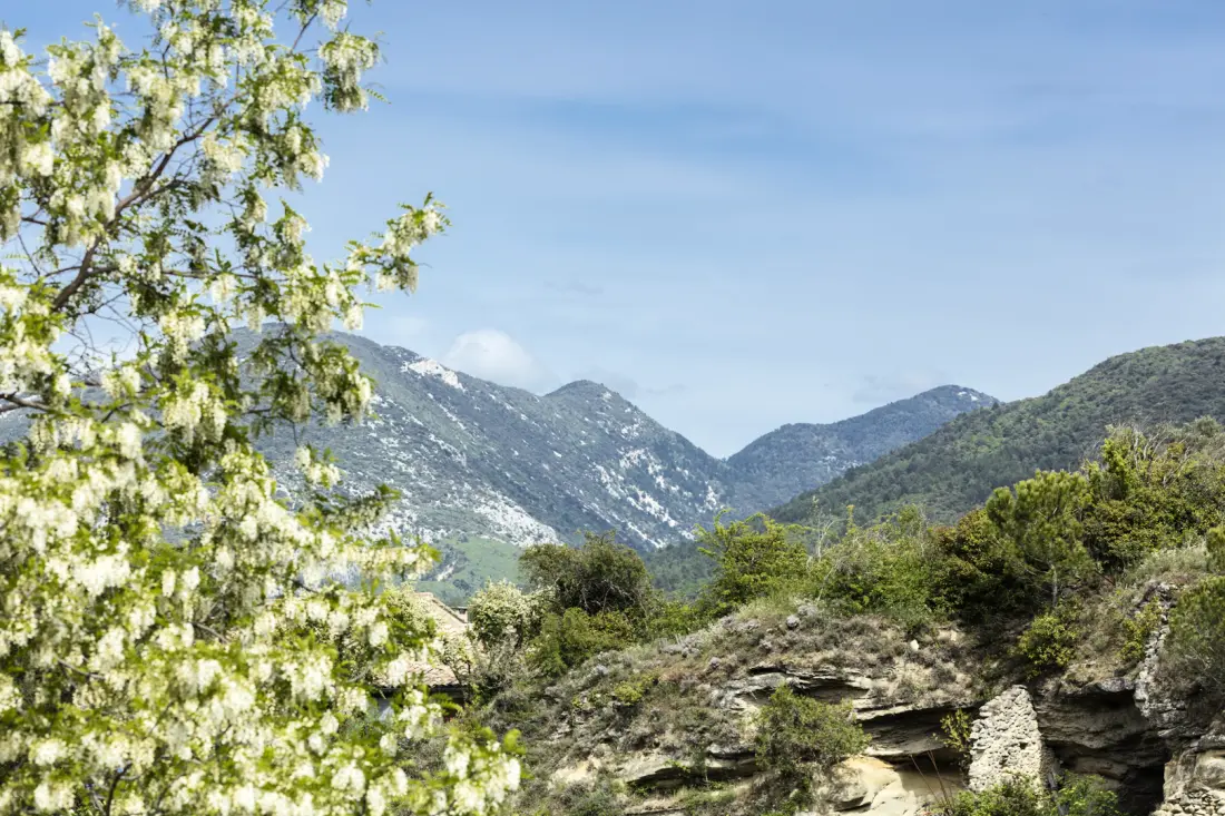 Résidence Garden & City Mont Ventoux - Malaucène 4 étoiles★★★★
